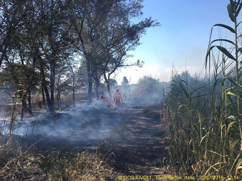 Tivoli, Guidonia e Sant’Angelo, quattro incendi in due giorni