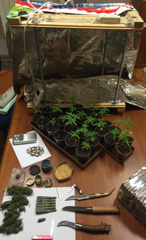 Elettricista di Tivoli arrestato a Camerata Nuova, coltivava cannabis