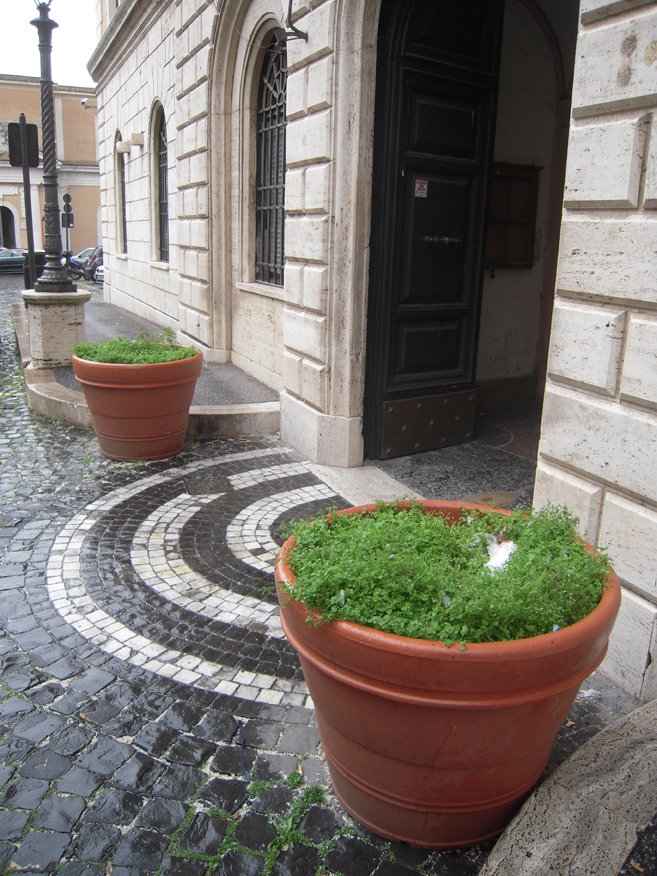 Orto botanico in piazza