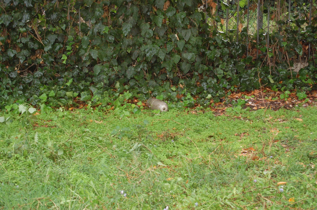 Ordigno bellico abbandonato al “Bollente” fatto brillare ieri