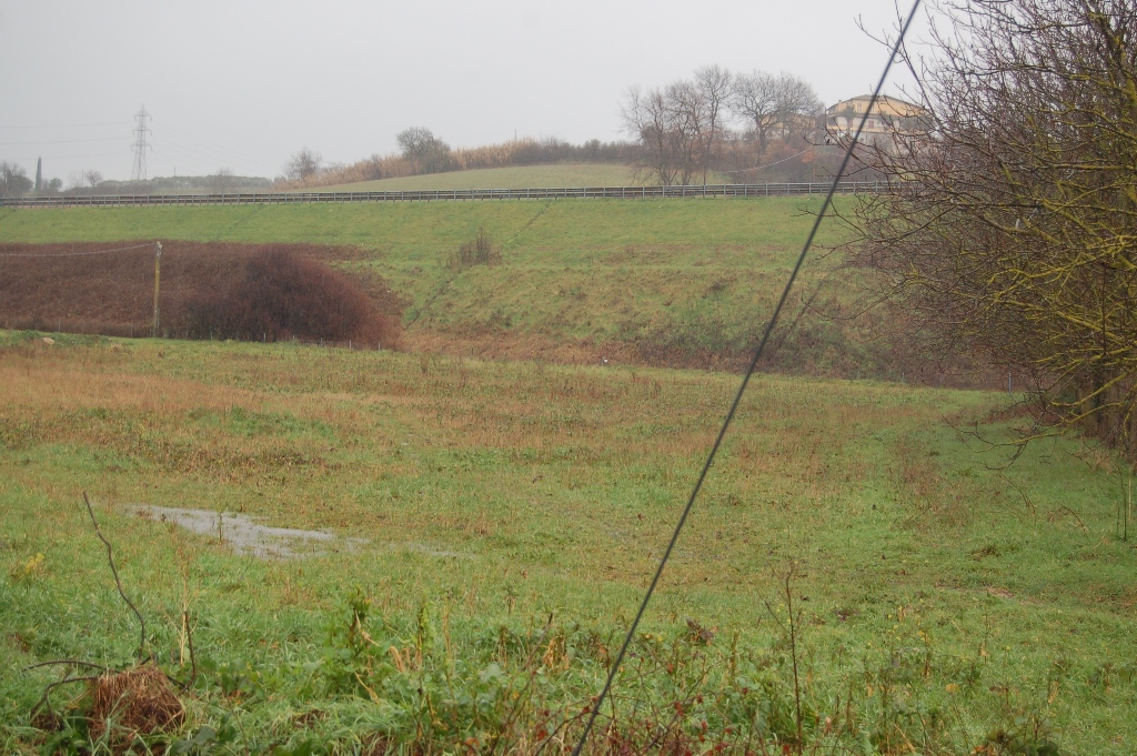 Guidonia, impianti a biomassa, questa mattina il Consiglio