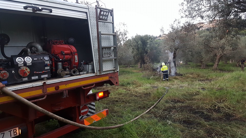 Uliveto in fiamme ai Colli di Santo Stefano