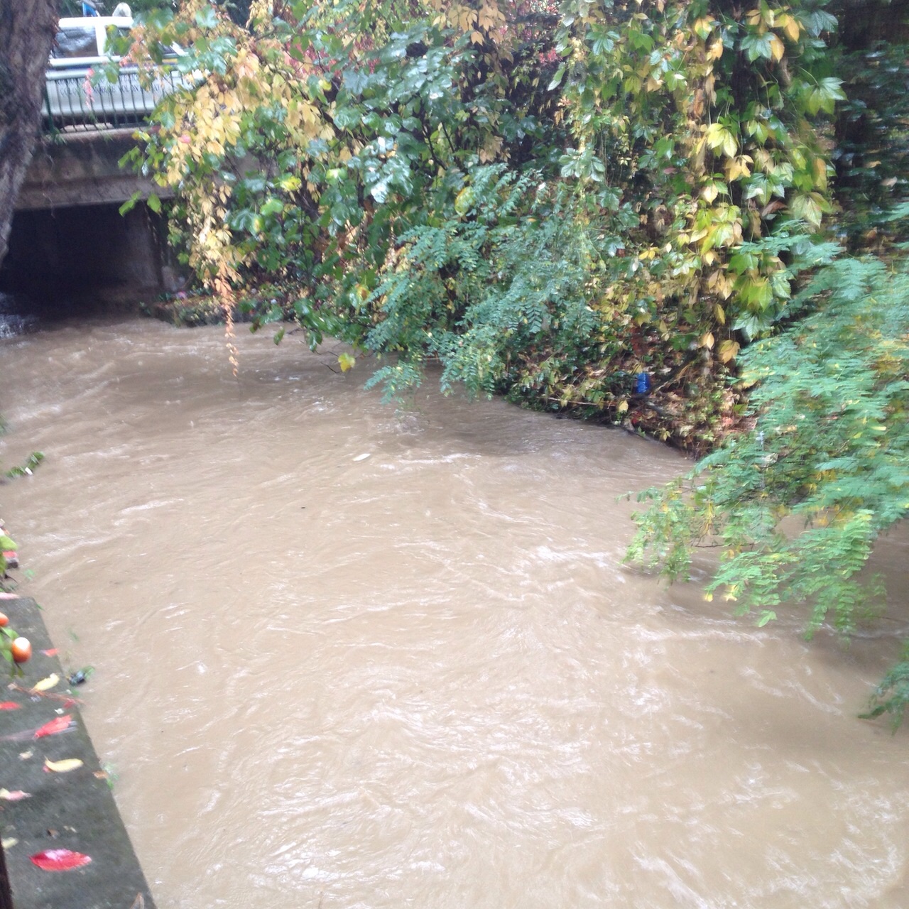 Maltempo: doppia allerta per lunedì 16 e martedì 17