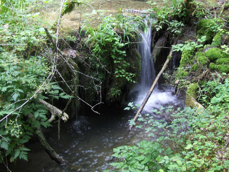 Le sorgenti dell’Aniene e non solo, nuovamente in pericolo