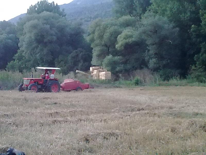 Tivoli, un incontro per scoprire i nuovi contributi per l’agricoltura con Confagricoltura Roma