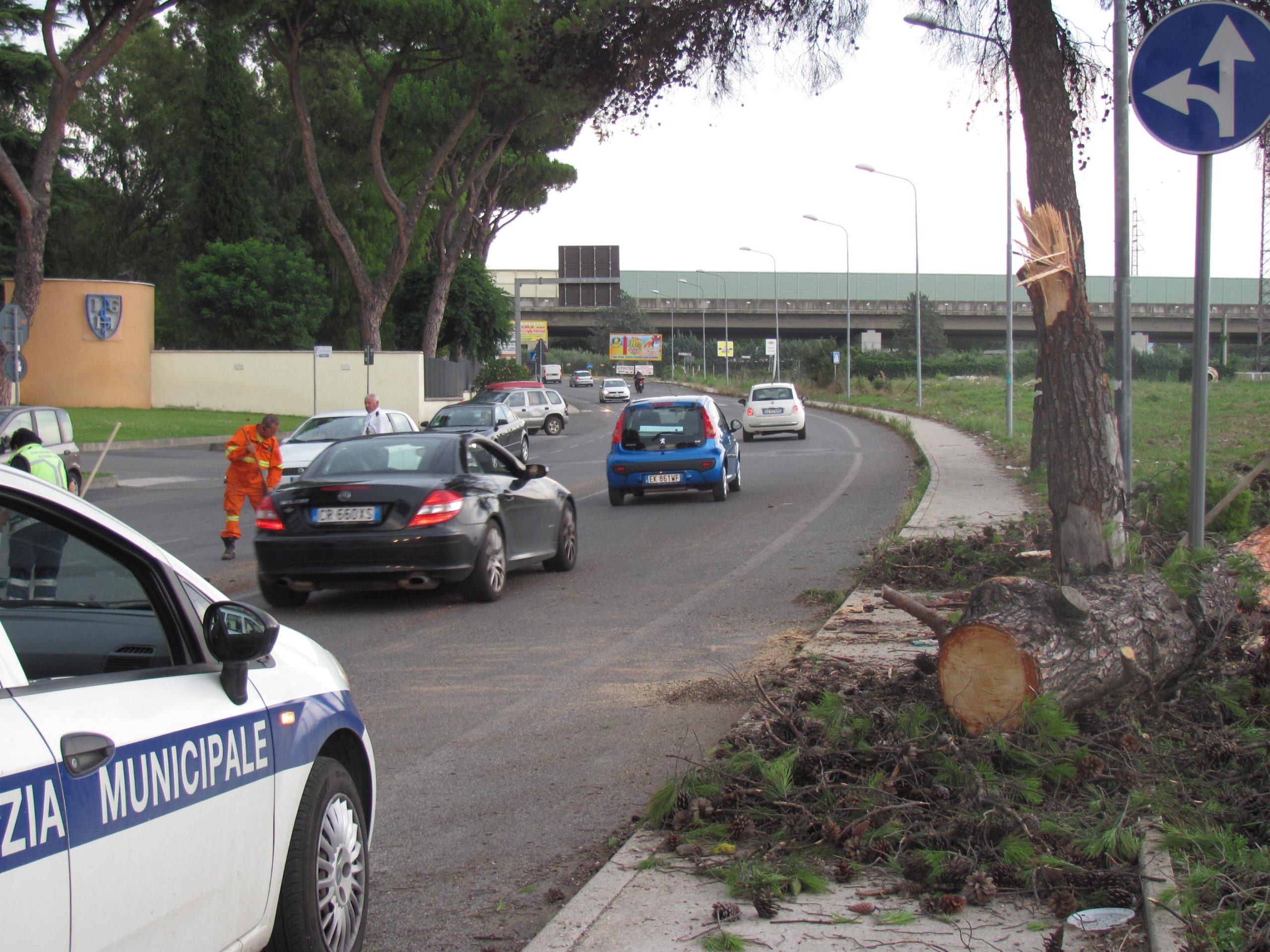 Vento forte, due alberi caduti: traffico in tilt