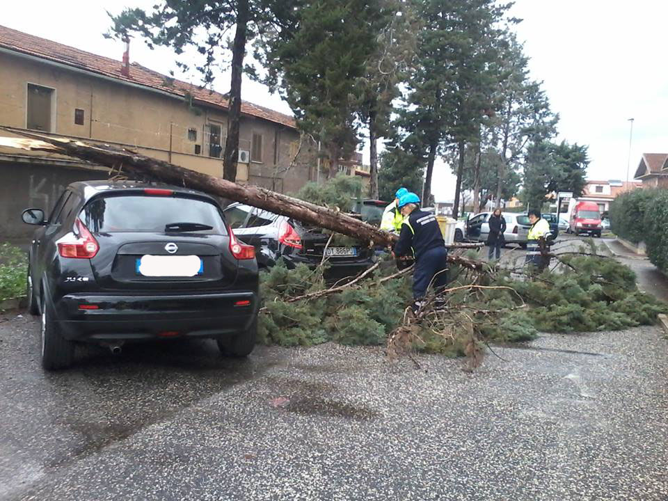 Vento forte, rami caduti a via Trento e via Maremmana