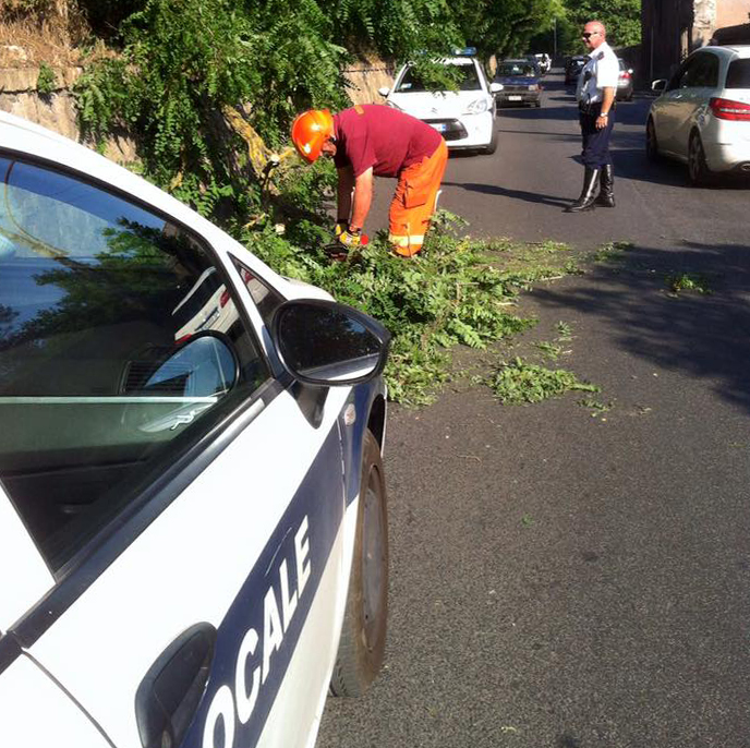 Albero franato sulla Tiburtina: rimosso dalla protezione civile