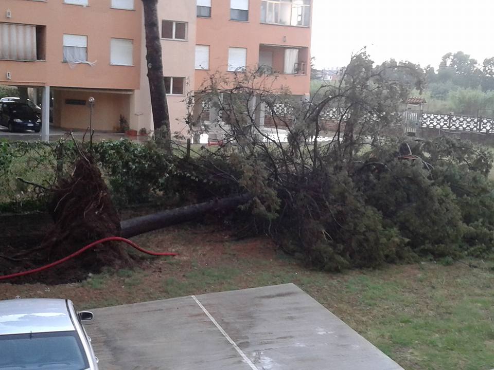 Maltempo: dopo il temporale ancora alberi caduti a Tivoli Terme