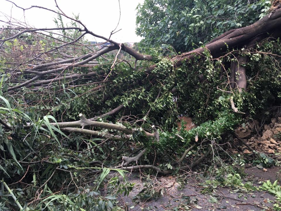 Via dell’Acquoria chiusa per frana, l’ultima volta ci vollero 14 mesi per riaprirla