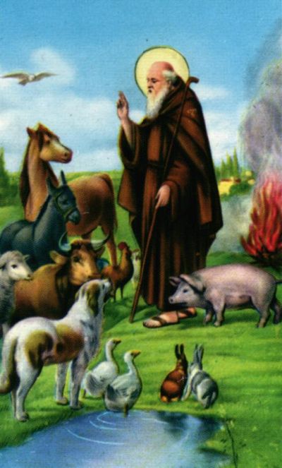 Benedizione degli animali per Sant’Antonio: due appuntamenti oggi e domani