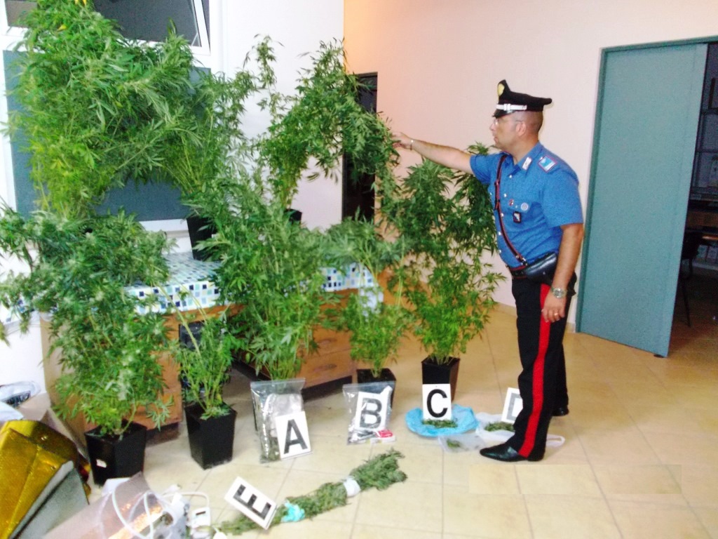 Affile: coltivava cannabis in giardino. Arrestato dipendente comunale
