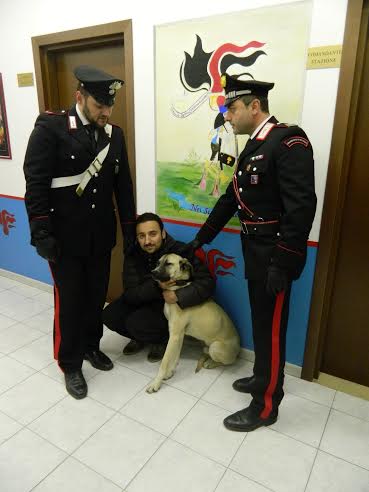 Rapisce un cane e chiede riscatto: 40enne in manette