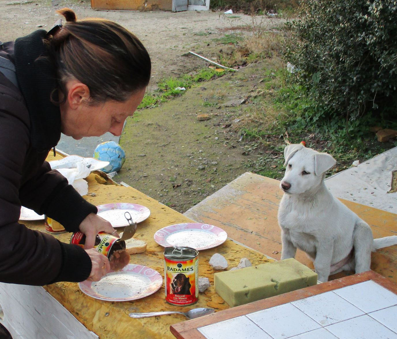 Dal Comune ringraziamenti ai volontari che si occupano degli animali di Stacchini