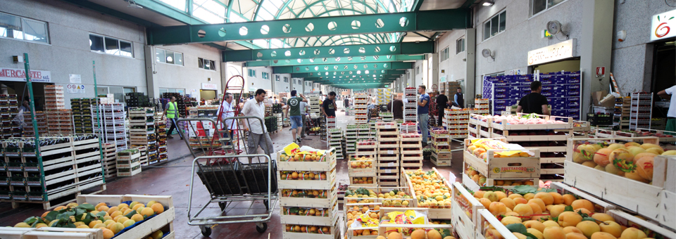 Rissa al Car: 3 egiziani in manette