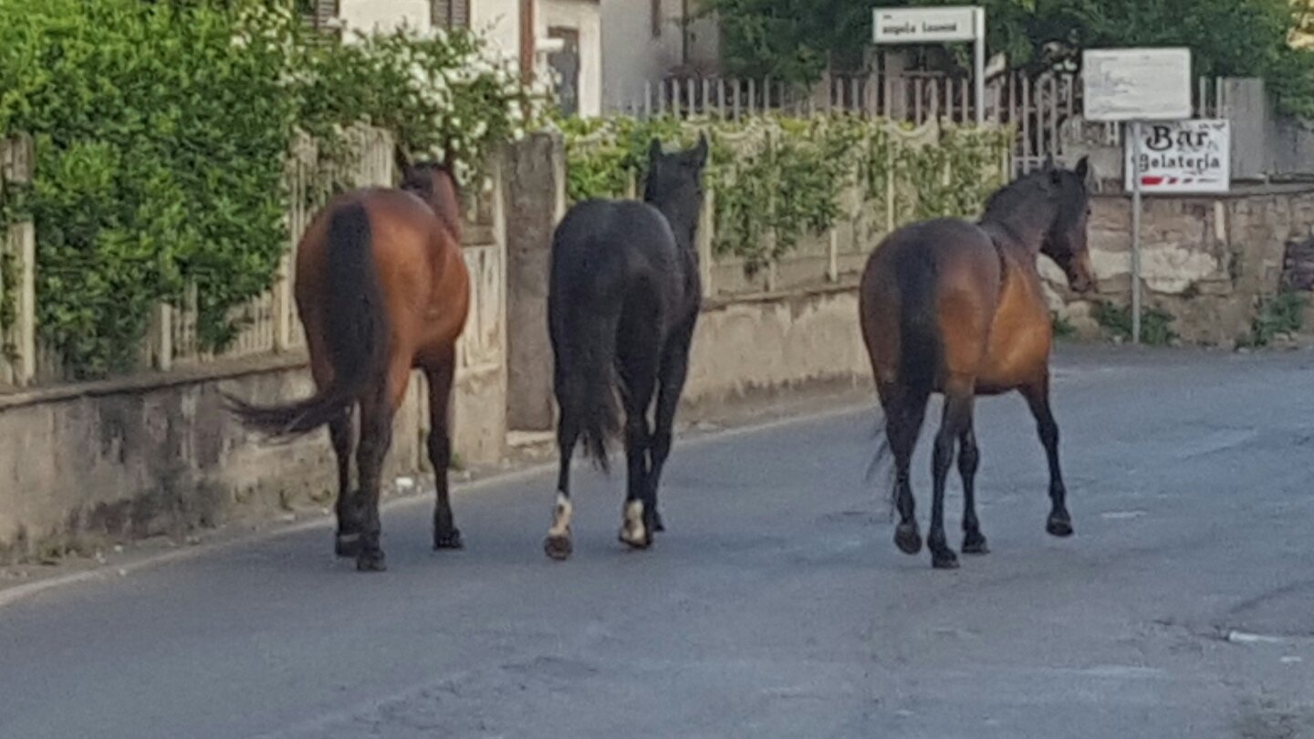 Strade pericolose, in consiglio comunale si parla di Quintiliolo e Campolimpido