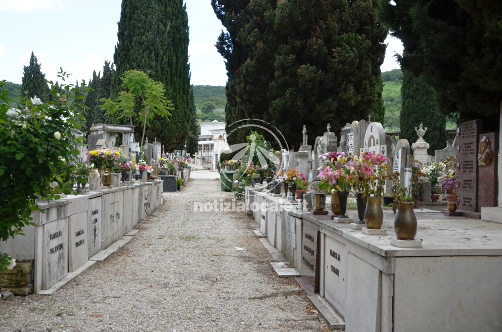 Tivoli, al Cimitero iniziati lavori di manutenzione e l’abbattimento di 13 cipressi
