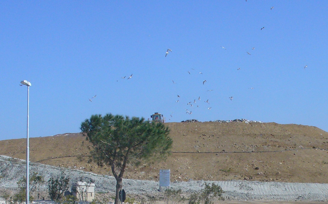 Inviolata, ricorso contro l’aumento delle volumetrie: oggi l’udienza davanti al Tar