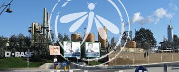 Basf: stop alle lavorazioni inquinanti. Gioia dei residenti, paura dei lavoratori