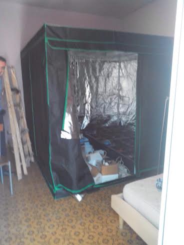 Arrestato “agricoltore diretto” di marijuana: trovate 111 piante tra casa e balcone