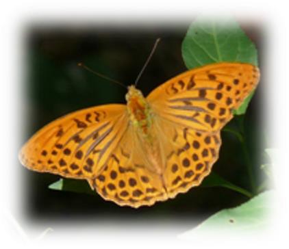 Un pomeriggio per conoscere la “nostra campagna”