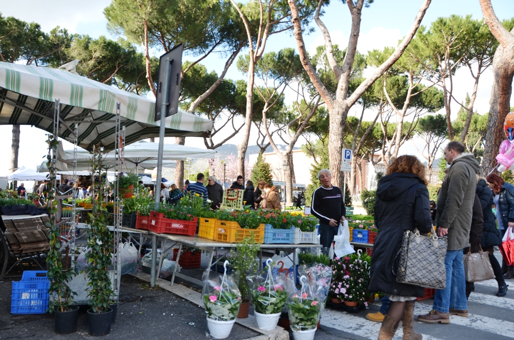 Fiera di San Giuseppe, work in progress