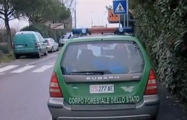 Canile lager a Riano: animali malnutriti e in cantina carcasse di animali morti da anni