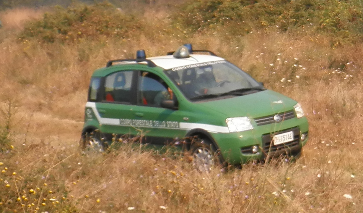 Tiburtino si perde sopra Oricola, ritrovato dalla Forestale