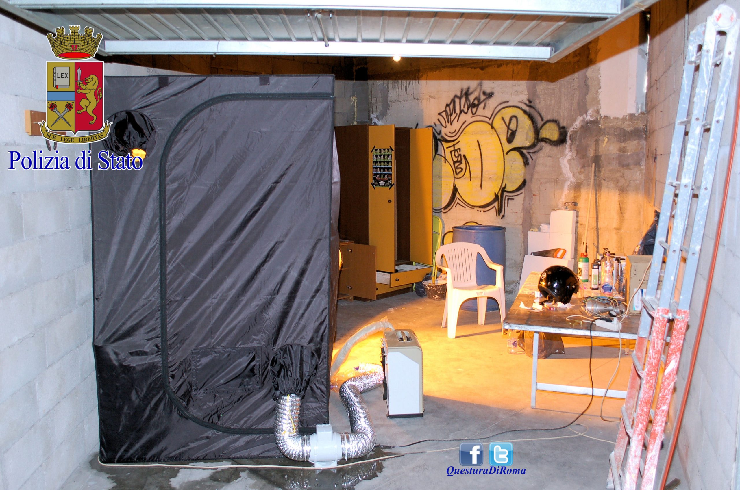 Occupava un locale e rubava corrente per coltivare marijuana, arrestato