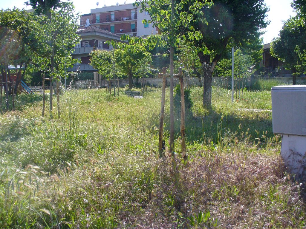 Parcheggio al “Bollente”, si va avanti