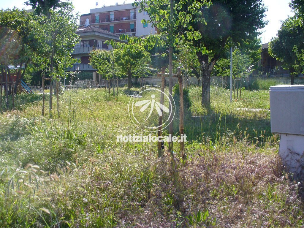 Gestione aree verdi, per la domanda c’è tempo fino al 10 luglio