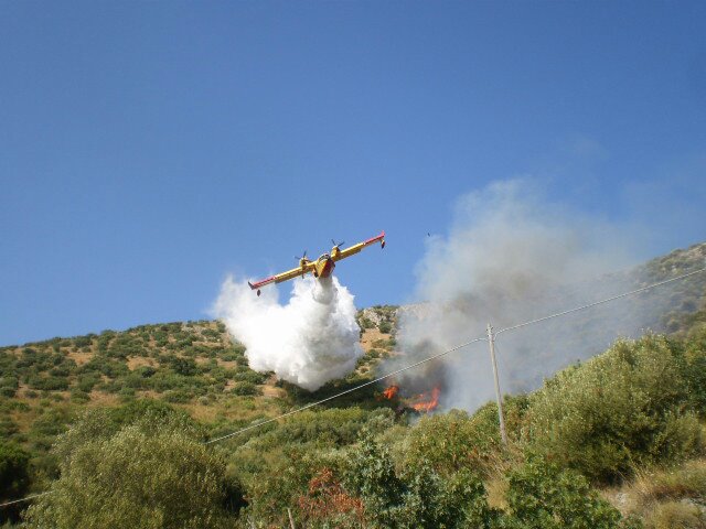 Tivoli lotta agli incendi: divieto di bruciare, obbligo di pulizia dei fondi e multe