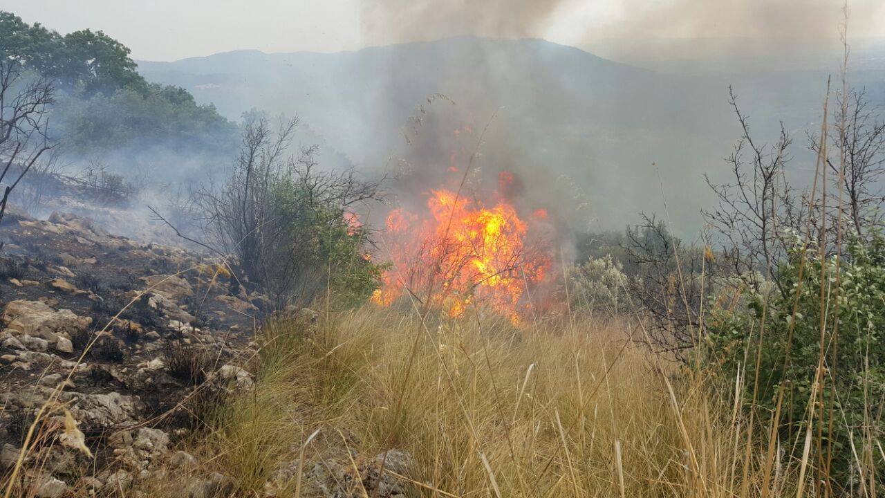 Tivoli: obblighi e divieti per tutti i possessori di terreni e giardini