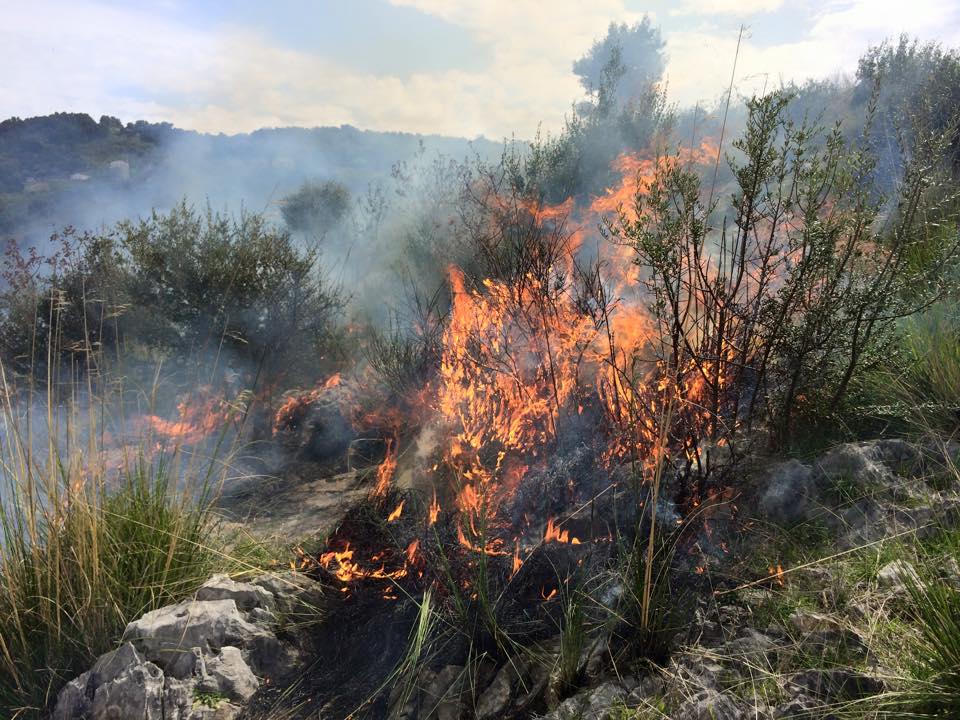 Pulizie “in danno” e multe, il Comune al lavoro per prevenire gli incendi
