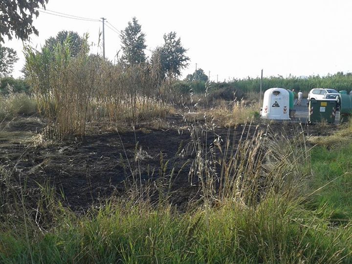 Tivoli Terme: cassonetti in fiamme in via Orazio