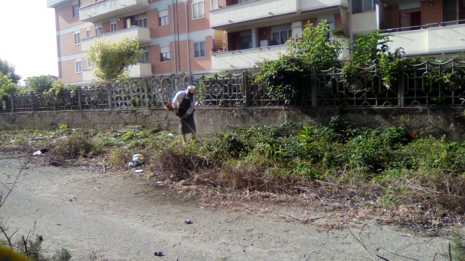 Pulizie in corso al Bosco del Fauno. Asa, volontari e cittadini in azione