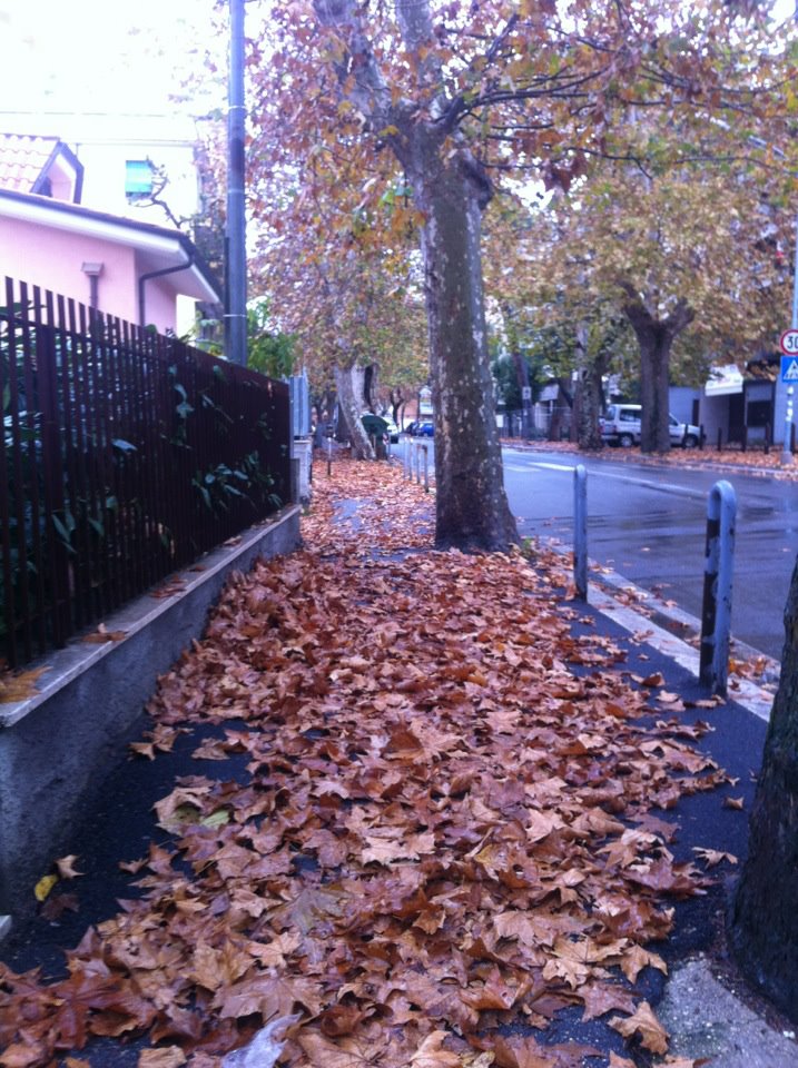 Immobili sequestrati alla criminalità e occupati: “Le Terrazze” finiscono in Parlamento