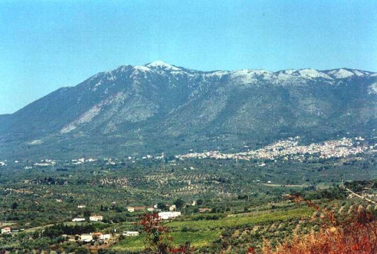 Marcellina, il mercato torna nella piazza principale