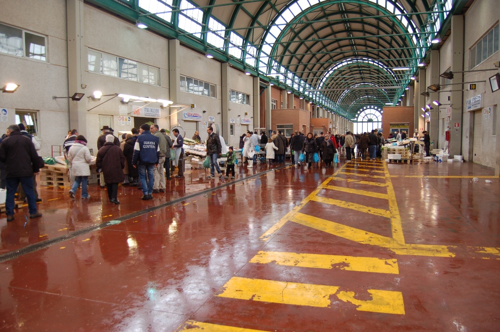 Mercato ittico del Car di Guidonia: sequestrata una tonnellata di ostriche