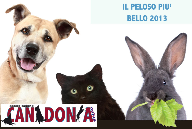 Concorso fotografico: “Il peloso più bello”