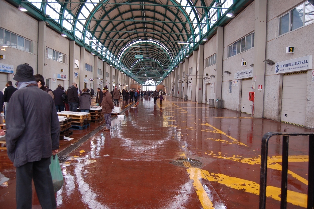 Larve di Anisakis, sequestrati al Car 500 chili di pesce