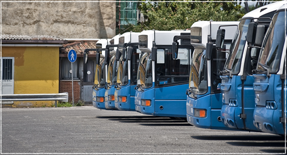 Trasporto su gomma, qualcosa si muove a Marco Simone