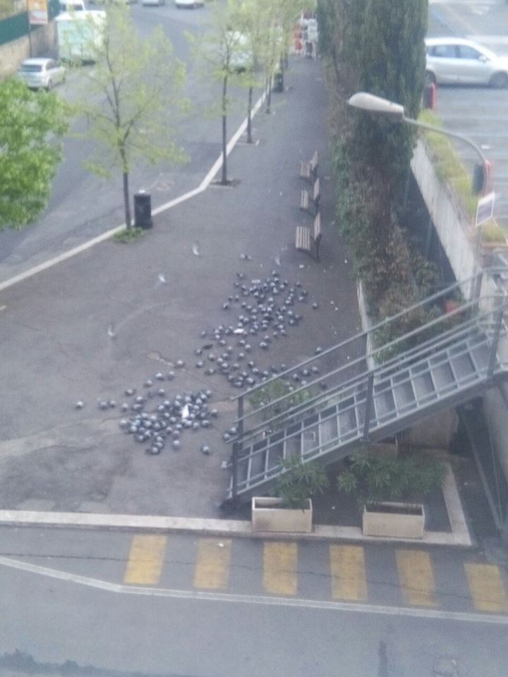 Tivoli,  allarme piccioni tra l’allerta per la Rocca Pia e l’ira dei residenti