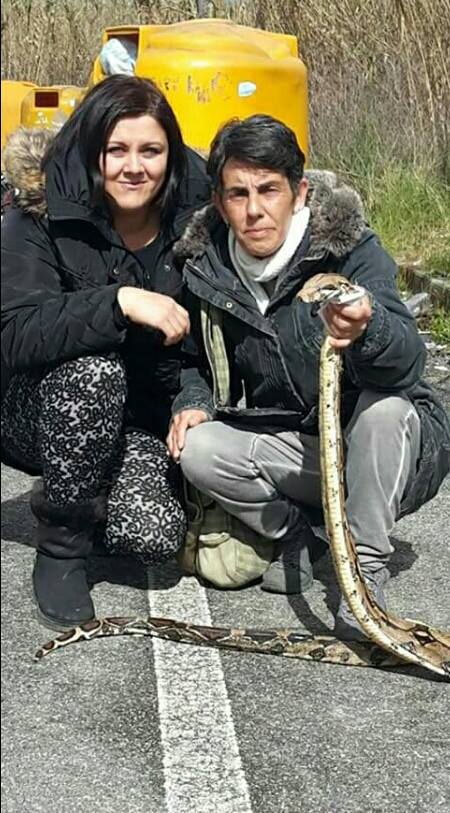 Tivoli Terme, nel canneto di via Orazio ritrovato un pitone morto