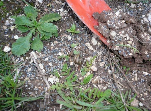 Guidonia, il Comune revoca la concessione al Poligono