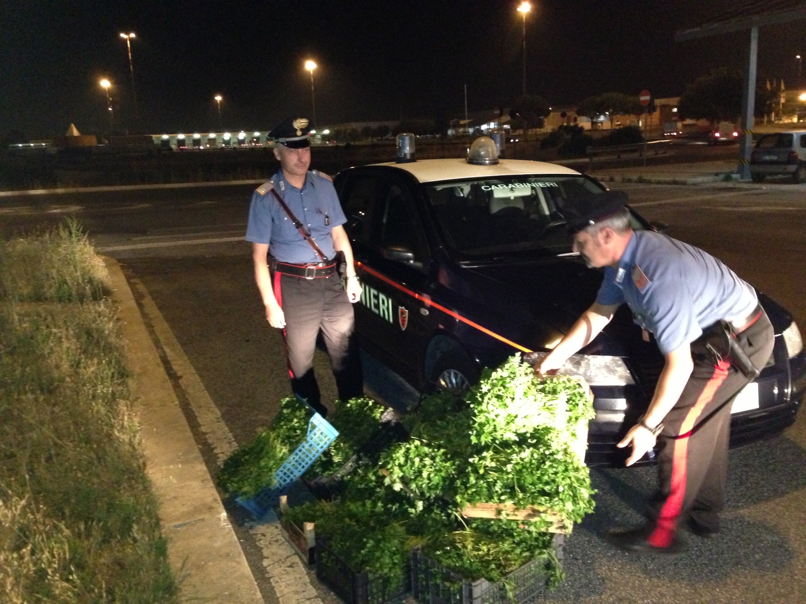 Carabinieri mimetizzati al Car: 7 denunce e 25 kg di prezzemolo sequestrati