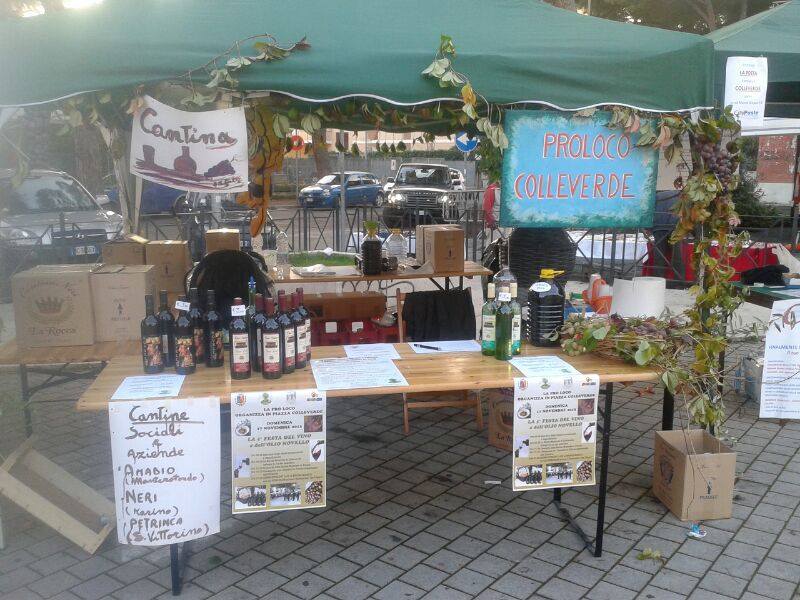 Al via bando per la selezione di 4 volontari per il servizio civile a Colleverde