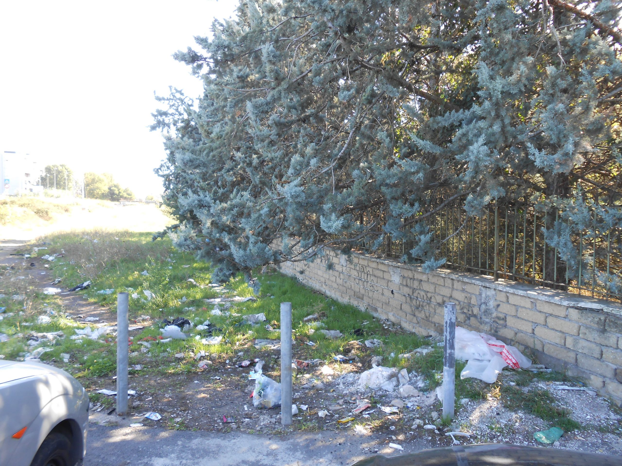 Tivoli Terme, “Puliamo il mondo” alla scuola  di via Tommaso Neri