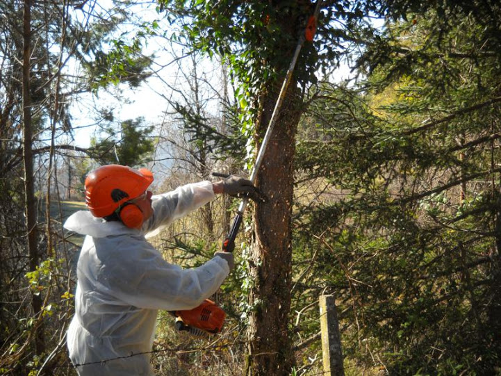 Monti Lucretili, il parco si fa bello per la macchina da presa