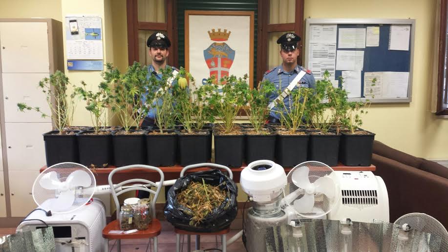 Scoperta una piantagione di canapa indiana: 2 arresti